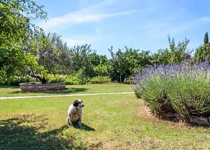 Angelina's Garden Place, Max 6 Persons, Near Pula *